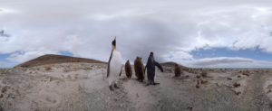 new vr video from visualise for birdlife's new campaign, protect a penguin