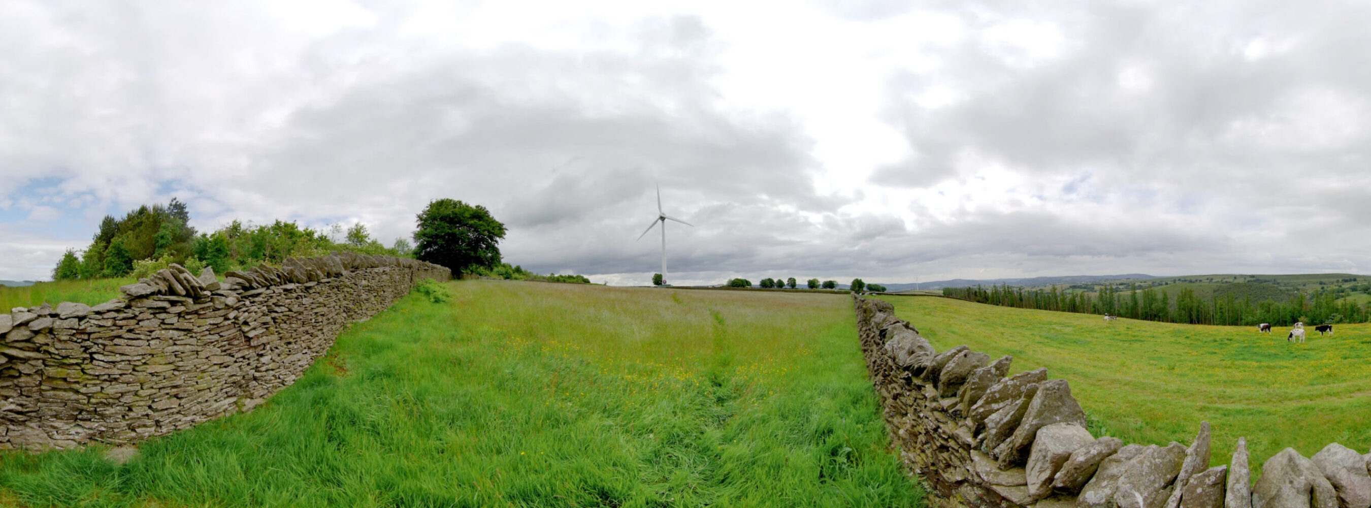 Octopus Energy Wind Turbine Impact VR