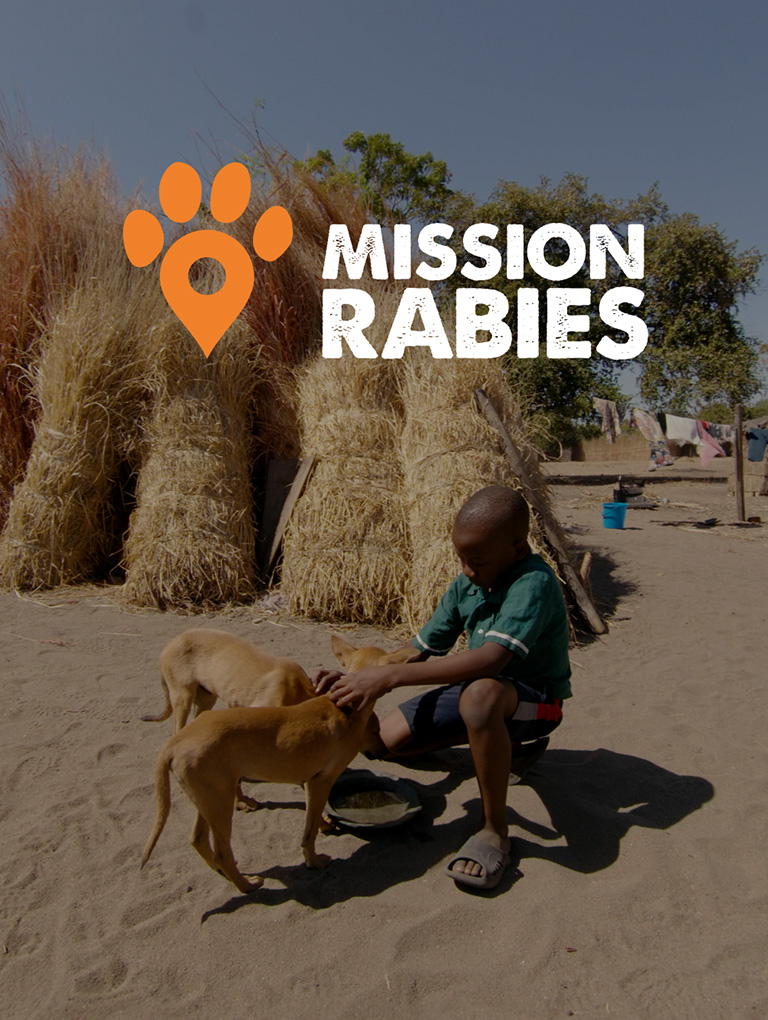 Mission Rabies – VR Film – Worldwide Veterinary Service